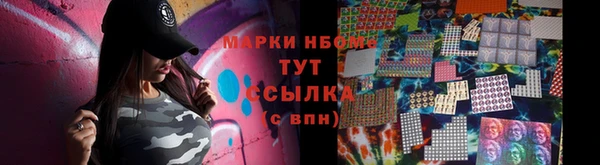 прущие грибы Арсеньев