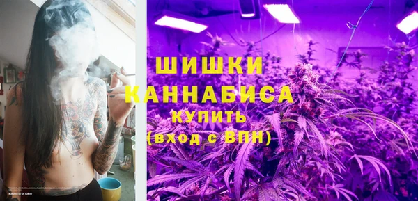 прущие грибы Арсеньев