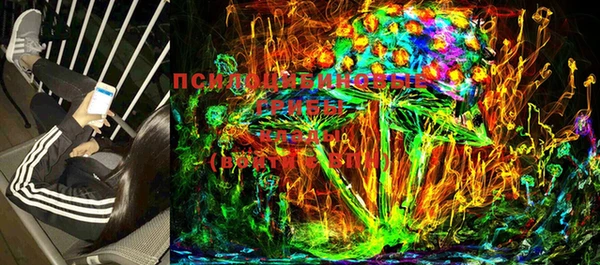 прущие грибы Арсеньев