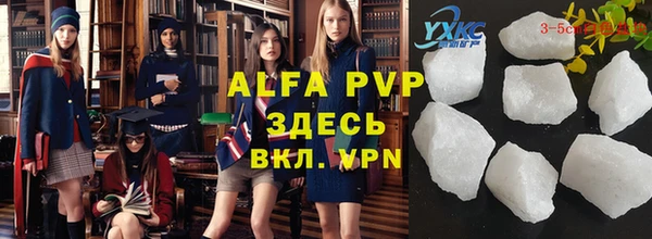 прущие грибы Арсеньев