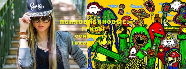 гидропоника Армянск