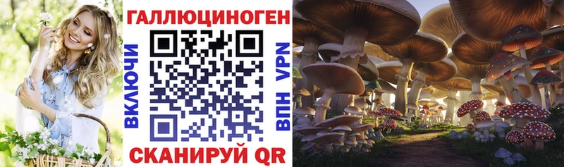 Псилоцибиновые грибы прущие грибы  закладки  Нестеров 