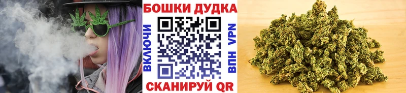 купить наркотик  Нестеров  МЕГА зеркало  Конопля White Widow 